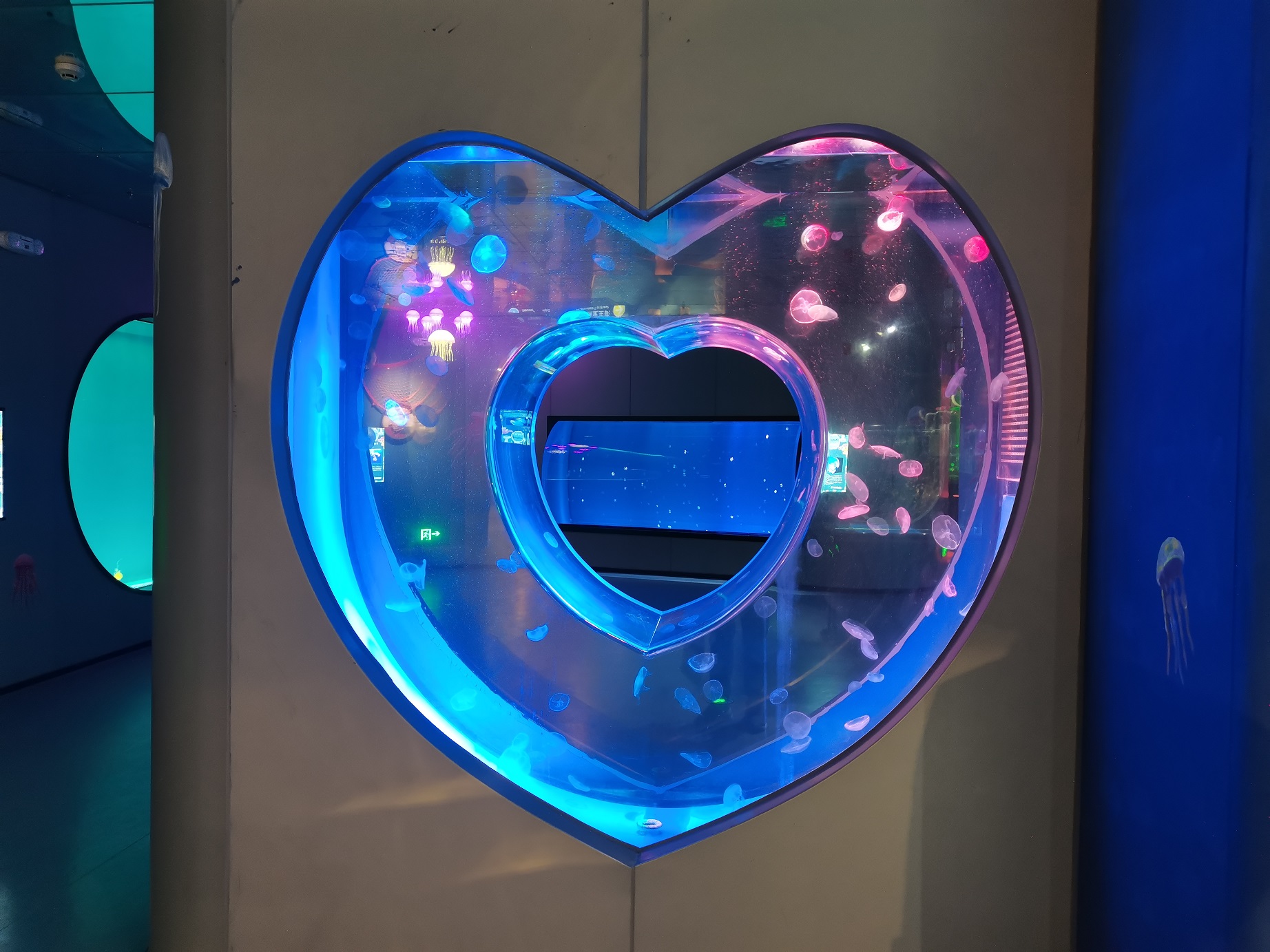 Jellyfish tanks jellyfish tank setup jellyfish tank for sale - Leyu
